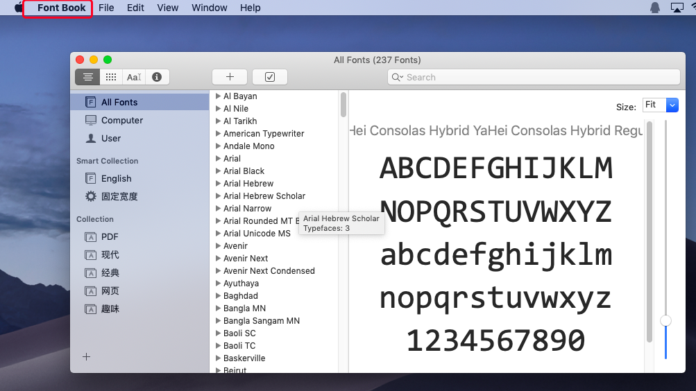embed fonts to windows